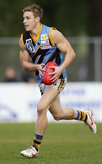 260740-tlsnewsportrait.jpg